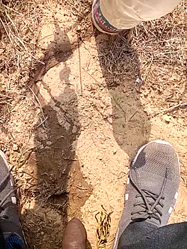 miss-komal1 online show from 17, 2, 2026