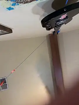 Link and Saria online show from 1, 3, 2026