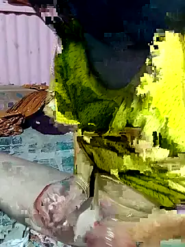 Snapshot of mimpake chatting on 2, 4, 2026 mimpake online show from 2, 4, 2026