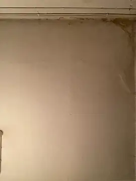  Sabah  online show from 23, 2, 2026