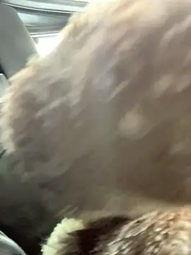 Emily-Fire online show from 5, 3, 2026