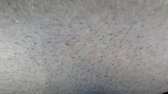 machodotado97 online show from 15, 3, 2026