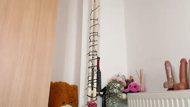 Snapshot of SPICYKC chatting on 13, 3, 2026 SPICYKC online show from 13, 3, 2026