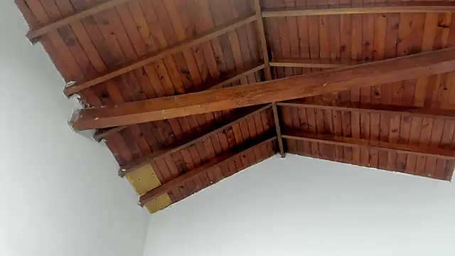 TonyPetrovjs online show from 15, 3, 2026