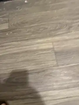 Snapshot of SavorredEscapist chatting on 26, 2, 2026 SavorredEscapist online show from 26, 2, 2026