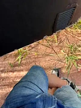 boladeouro126 online show from 14, 4, 2026