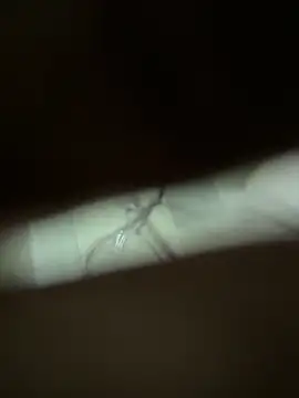 neekosam12 online show from 23, 3, 2026