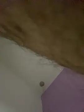 dimitri25987 online show from 17, 4, 2026