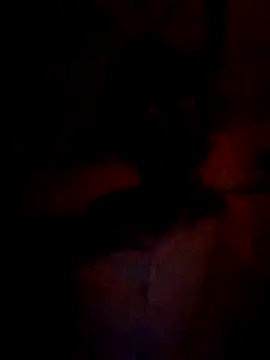 wifedesi7050 online show from 5, 3, 2026