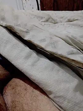 Rocky99mg online show from 1, 3, 2026