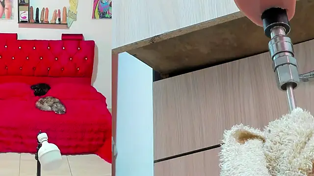 bella  funny online show from 13, 5, 2026