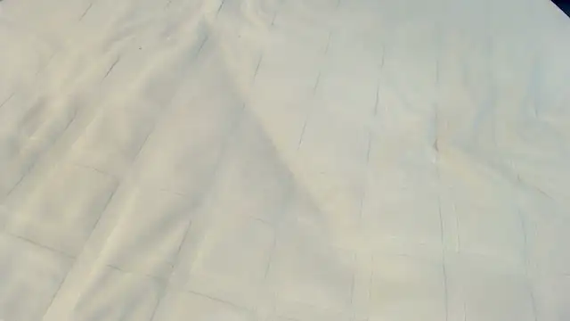 Ass Lovss online show from 23, 5, 2026