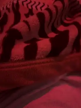 689Nika online show from 22, 3, 2026