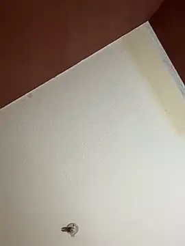 Snapshot of MoonGoddess424 chatting on 24, 2, 2026 MoonGoddess424 online show from 24, 2, 2026