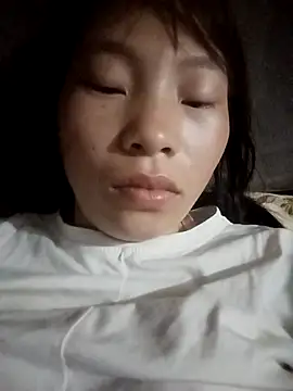 pic8800 online show from 1, 4, 2026