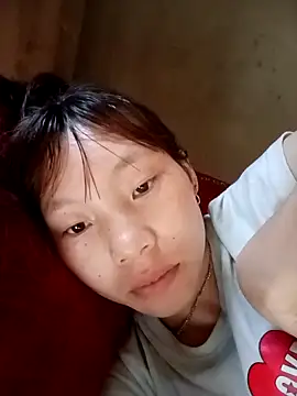 pic8800 online show from 8, 4, 2026