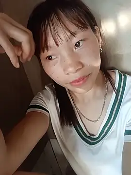 pic8800 online show from 14, 5, 2026