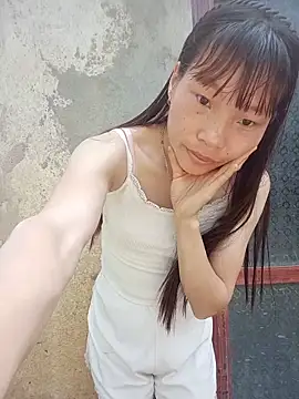 pic8800 online show from 15, 5, 2026