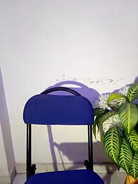 Sexy aakansha online show from 12, 3, 2026