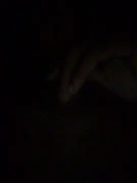 gostinhopauzudo online show from 22, 3, 2026