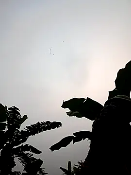 Snapshot of JenyLy68 chatting on 27, 3, 2026 JenyLy68 online show from 27, 3, 2026