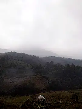 lyly sexx online show from 14, 3, 2026