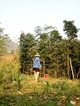 lyly sexx online show from 7, 4, 2026