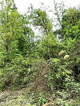 Snapshot of yin202601 chatting on 26, 3, 2026 yin202601 online show from 26, 3, 2026