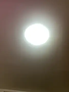 KarmaFoxx online show from 26, 3, 2026