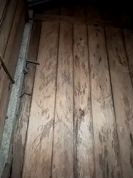 Snapshot of Mizu-hotshow chatting on 29, 3, 2026 Mizu-hotshow online show from 29, 3, 2026