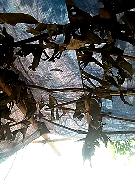 Snapshot of Mizu-hotshow chatting on 11, 4, 2026 Mizu-hotshow online show from 11, 4, 2026