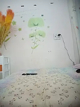 Snapshot of Meow_cute chatting on 6, 7, 2026 Meow cute online show from 6, 7, 2026
