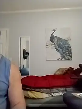 coestet online show from 22, 5, 2026
