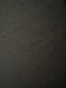 MIABCDZ online show from 12, 5, 2026