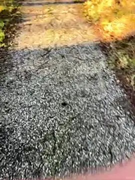 Snapshot of Sweetlauu chatting on 1, 3, 2026 Sweetlauu online show from 1, 3, 2026