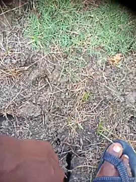Snapshot of Ambala1 chatting on 2, 5, 2026 Ambala1 online show from 2, 5, 2026