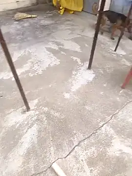 mylove202022 online show from 15, 3, 2026