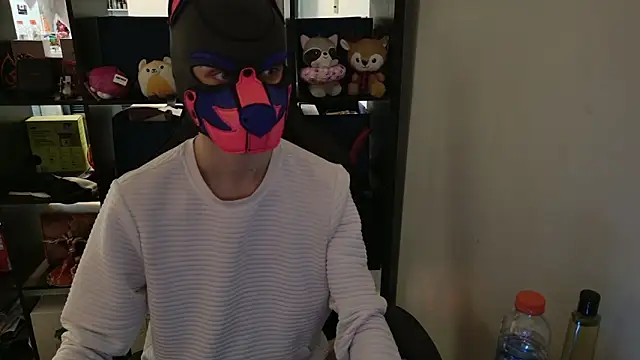 Snapshot of MellPUP chatting on 7, 4, 2026 MellPUP online show from 7, 4, 2026