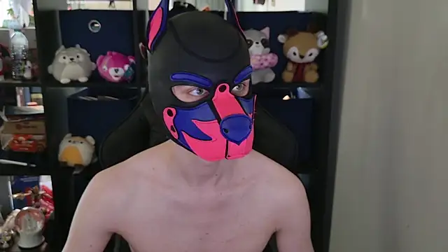 Snapshot of MellPUP chatting on 30, 4, 2026 MellPUP online show from 30, 4, 2026