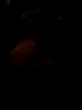 faridabadbot online show from 24, 3, 2026