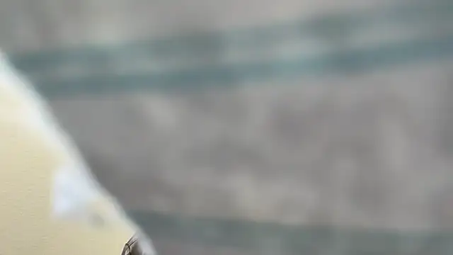 the-gen-xxx online show from 17, 3, 2026