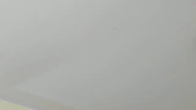 Snapshot of SofiiMontes chatting on 11, 5, 2026 SofiiMontes online show from 11, 5, 2026