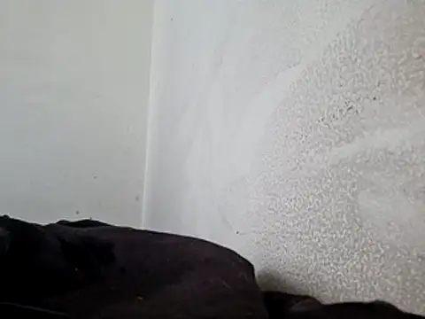 Megan bad online show from 22, 3, 2026