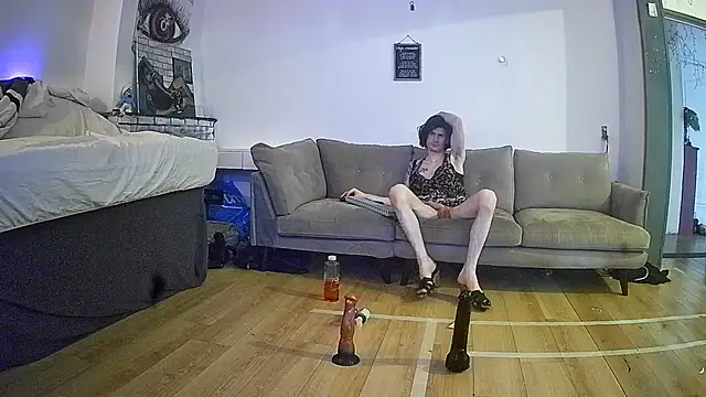 rudy25cm online show from 27, 6, 2026