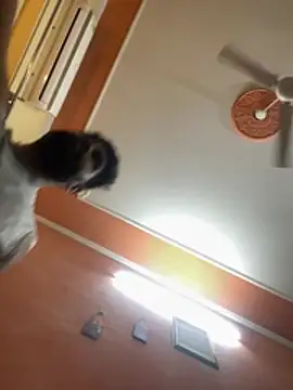 kairaadmas online show from 22, 3, 2026