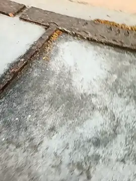 Desii rockstarr online show from 11, 3, 2026