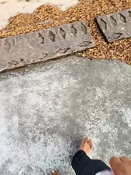 Desii rockstarr online show from 17, 3, 2026