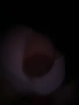 Snapshot of Nabi_pusy chatting on 26, 7, 2026 Nabi pusy online show from 26, 7, 2026