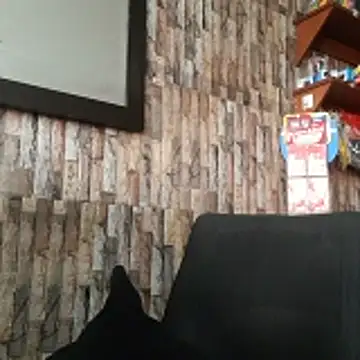 jhosuamoore online show from 24, 3, 2026