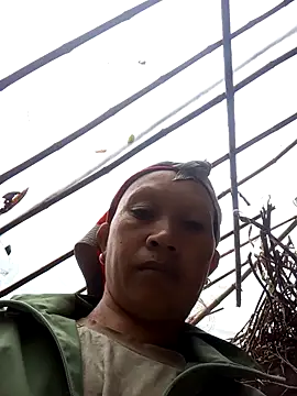 Heli pusy online show from 11, 5, 2026